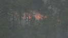 Forest Fire in Burlington County