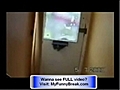 VERY FUNNY - Some Stupid Cat Videos - Cat Climbing Trees