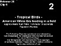 Tropical Birds (2007)