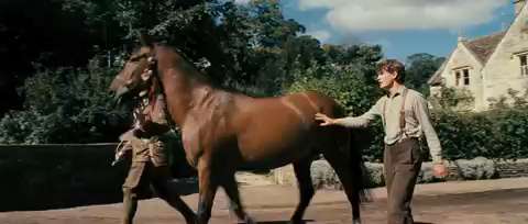 War Horse Trailer