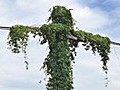 Vine in N.C. town said to resemble Jesus