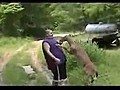 Deer Attacks Big Guy