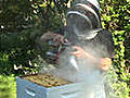 Build a Beekeeping Environment