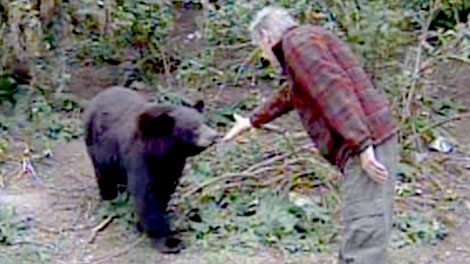 Latest : Bear tamer : CTV National News: Kent Molgat on the dilemma