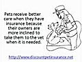 How Veterinary Pet Insurance Works