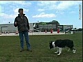 L’Ecole du Chien -Alimentation animale (fabrication gros) Démouville 14840 Calvados