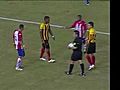 South American soccer player viciously kicks owl