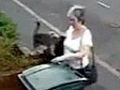 Woman puts cat in wheelie bin