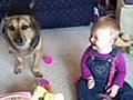 Baby,  Dog and Bubbles Star in Viral Video