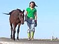 Starving horse rescued by teen