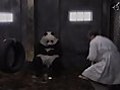 Panda Handjob