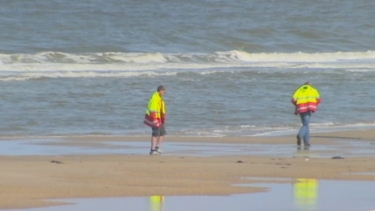 Gif gevonden op het strand