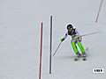 2011 Alpine Worlds: Elisabeth Goergl 5th in SC