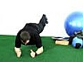 Golf Specific Strength 2 with Mark Coates