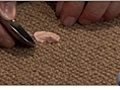 Removing Gum from Carpet