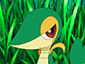 Snivy’s Attract