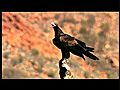 Desert Landscape near Alice Springs Australia