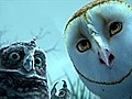 &#039;Legend of the Guardians: The Owls Of Ga’Hoole&#039; Clip: 