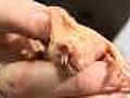 Mole rats key to human longevity?