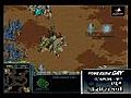 星际争霸经典37)之Boxer
