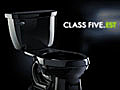 Class Five(TM) EcoSmart Flushing System