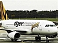 Tiger Airlines faces grounding