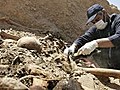 Massengrab mit mehr als 800 Leichen entdeckt