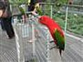 Bird Park