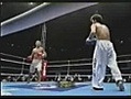 Kick Boxing vs Tae Kwon Do