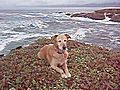 At Point Arena Lighthouse, Pacific coast