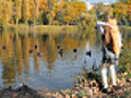 child feeding ducks