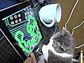 Gato Vs Ipad