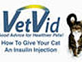 How To Give Your Cat an Insulin Injection - VetVid Episode 021