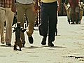 The Hangover 2 - trailer