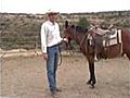 horse issues. horsetraining,  horseshoeing, colt starting, haltering, trailer loading.