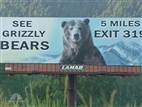 Yellowstone hiker killed by a grizzly bear