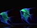 Glowing new fluorescent angelfish