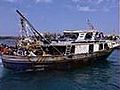 Migrant woman gives birth in Lampedusa