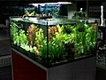 Neodis -Aquariums et viviers (études et réalisations) Antibes 06600 Alpes-Maritimes