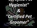 Grooming a Dog- Your Own Grooming Business