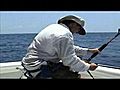 Puerto Vallarta Fishing Sailfish Marlin Tournement Video Promovision