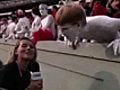 Crazy Georgia UGA Fan