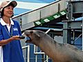 また会う日まで　サンシャイン国際水族館、一時休館