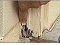 Termite Detection and Prevention Tips