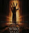 Wake Wood (2010)