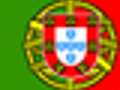 Language Translation Portuguese: Eight