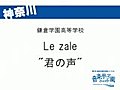 Le zale　