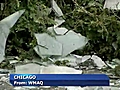 Chicago storm damages conservatory