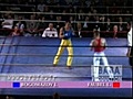 Faubel vs Bogomazov finale europe 2006 savate BF