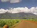 Royalty Free Stock Video SD Footage Zoom Out From Dirt Road to Large Mountains adn Sawgrass Fields in Kauai,  Hawaii